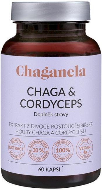 CHAGANELA Extrakt čagy s cordycepsom 60 kapsúl