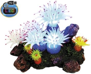 Nobby Aplysina s rastlinami LED 16,5x12x11 cm