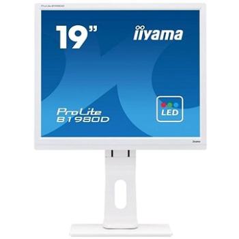 19 iiyama ProLite B1980D-W1