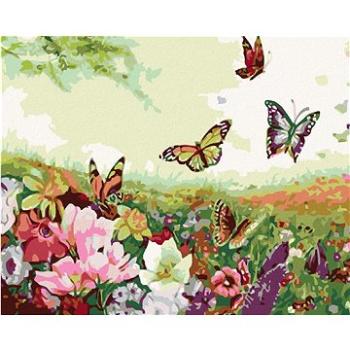 Maľovanie podľa čísel – Lúka plná motýľov (HRAmal00230nad)