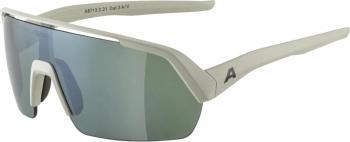 Alpina Turbo HR Q-Lite Cool/Grey Matt/Silver