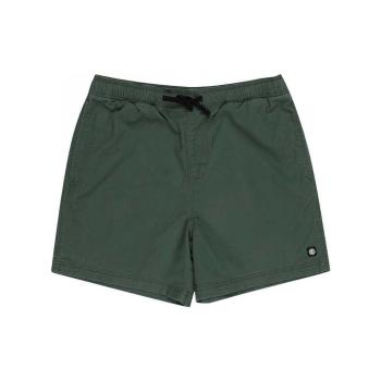 Element  Valley twill  Šortky/Bermudy Zelená