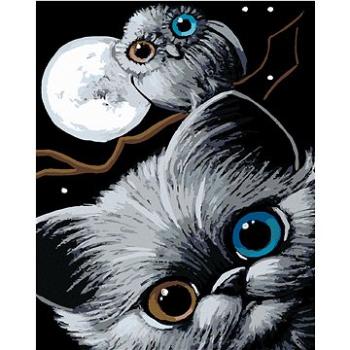 Maľovanie podľa čísel – Mačiatko, sova a mesiac (HRAmal00241nad)