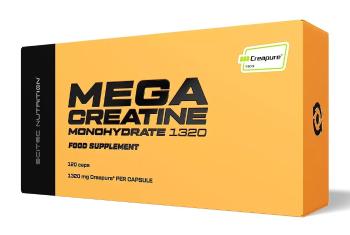 Mega Creatine Monohydrate 1320 - Scitec Nutrition 120 kaps.