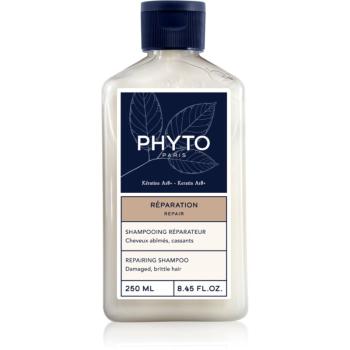 Phyto Repair Repairing shampoo obnovujúci šampón pre poškodené vlasy 250 ml