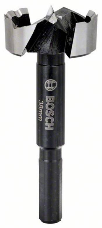 Bosch Accessories 2608577018 Forstnerov vrták 38 mm   1 ks