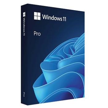 Microsoft Windows 11 PRO, SK, USB (FPP) (HAV-00161)