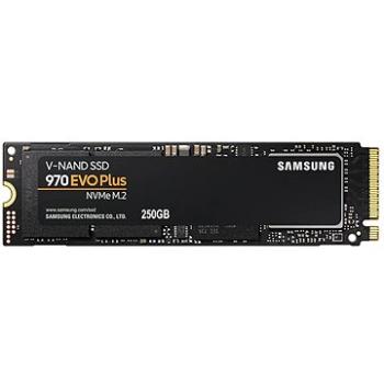 Samsung 970 EVO PLUS 250 GB (MZ-V7S250BW)