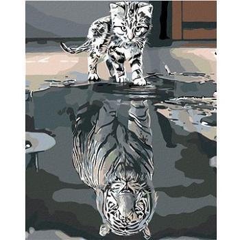 Maľovanie podľa čísel – Mačiatko alebo tiger (HRAmal00045nad)