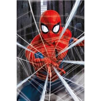 Marvel – Spiderman – Web – plagát (8435497277338)