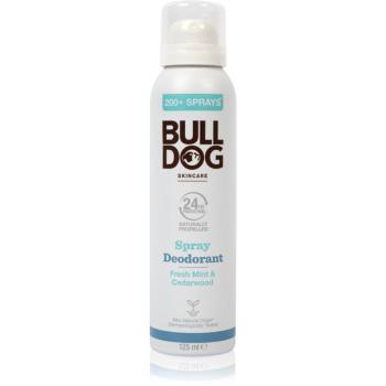 Bulldog Fresh Mint&Cedarwood Spray Deodorant dezodorant v spreji bez obsahu hliníka 125 ml