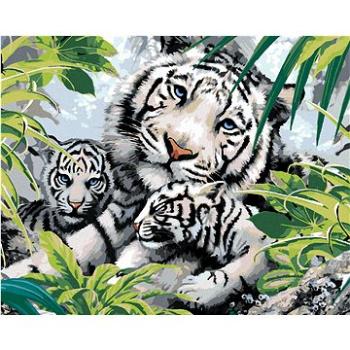 Maľovanie podľa čísel - Biely tiger a dve mláďatá (Howard Robinson) (HRAbz33406nad)