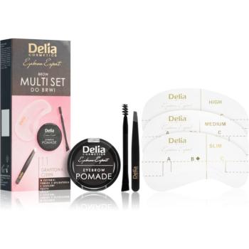 Delia Cosmetics Eyebrow Expert Zest Sada na úpravu obočia odtieň 1.1 Graphite Black 1 ks