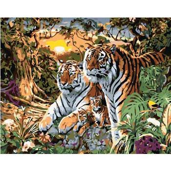 Maľovanie podľa čísel – Tiger s mláďatami (HRAmal00656nad)