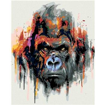 Maľovanie podľa čísel – Gorila (HRAmal00092nad)