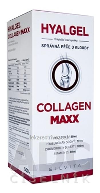 HYALGEL COLLAGEN MAXX tekutý prípravok s pomarančovou príchuťou 1x500 ml