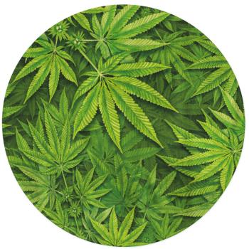Okrúhla osuška Cannabis