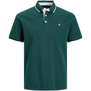 Jack & Jones  Polokošele s krátkym rukávom POLO CALSICO HOMBRE JACK JONES 12136668  Zelená