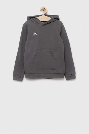 Detská mikina adidas Performance ENT22 HOODY Y šedá farba, s kapucňou, jednofarebná