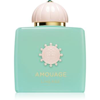 Amouage Lineage parfumovaná voda unisex 50 ml