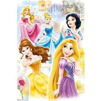 Disney – Princezné – plagát (8435107812546)