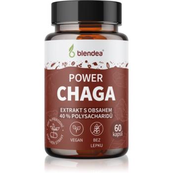 Blendea Chaga Extrakt kapsuly s antioxidačným účinkom 60 cps