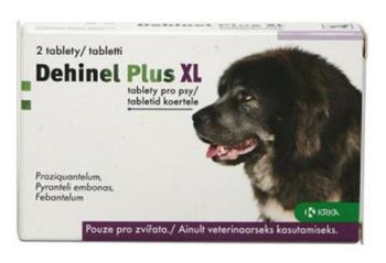 Dehinel Plus XL 2 tbl