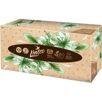 Linteo Paper Tissues Two-ply Paper, 100 pcs per box papierové vreckovky 100 ks