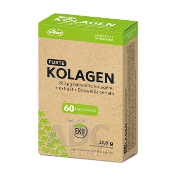 VITAR KOLAGÉN FORTE + extrakt z Boswellia serrata