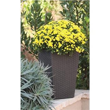 KETER kvetináč RATTAN PLANTER S hnedý (228977)