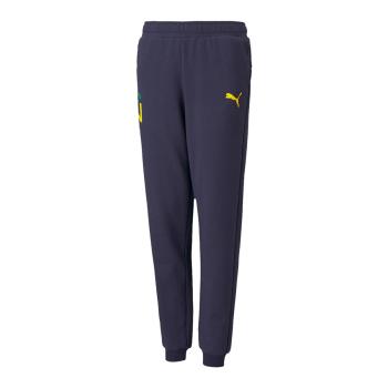 Puma  Neymar Jr Hero Sweatpants  Tepláky/Vrchné oblečenie Modrá