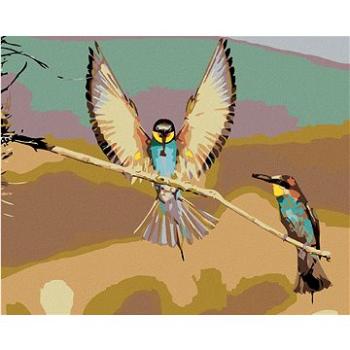 Maľovanie podľa čísel – Dva vtáčiky na suchej vetve (HRAmal00781nad)