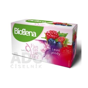 Biogena Fantastic Tea Lesné plody