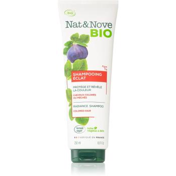 Nat&Nove Eclat šampón na ochranu farby 250 ml