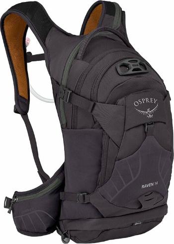 Osprey Raven 14 Womens Backpack Space Travel Grey 2023