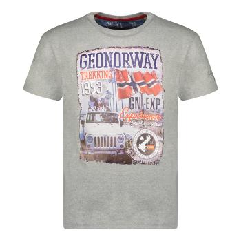 Geo Norway  SW1959HGNO-BLENDED GREY  Tričká s krátkym rukávom Šedá