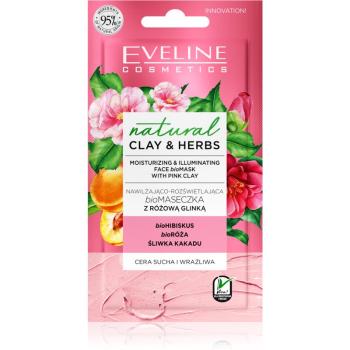 Eveline Cosmetics Natural Clay & Herbs rozjasňujúca hydratačná maska s ílom 8 ml