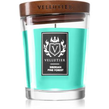 Vellutier Siberian Pine Forest vonná sviečka 225 g