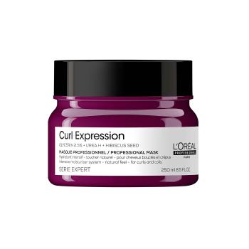 L´Oréal Professionnel Intenzívna hydratačná maska pre kučeravé a vlnité vlasy Curl Expression Intensive Moisturizing ( Professional Mask) 250 ml