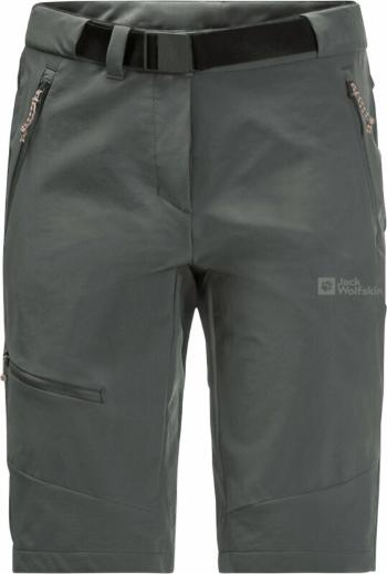 Jack Wolfskin Outdoorové šortky Ziegspitz Shorts W Slate Green M