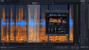 iZotope RX 11 Advanced: UPG from any previous RX Standard (Digitálny produkt)