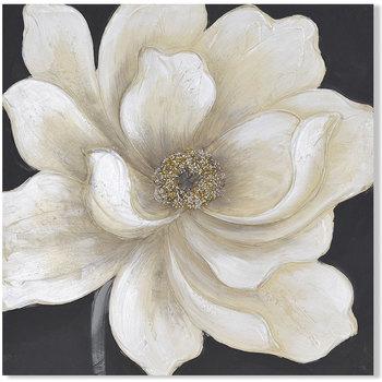 Signes Grimalt  Obrazy, plátna Biela Kvetina  Biela