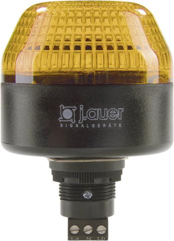 Auer Signalgeräte signalizačné osvetlenie LED IBL 802501313 oranžová  trvalé svetlo, blikajúce 230 V/AC