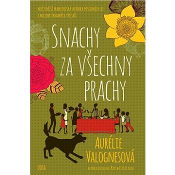 Snachy za všechny prachy (978-80-756-5846-3)