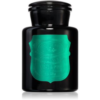 Paddywax Apothecary Noir Tabac & Pine vonná sviečka 226 g