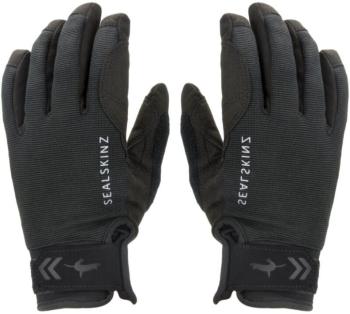 Sealskinz Waterproof All Weather Gloves Black XL