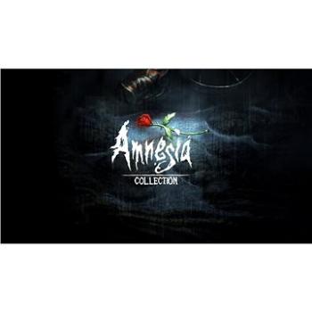 Amnesia Collection – PC DIGITAL (731305)