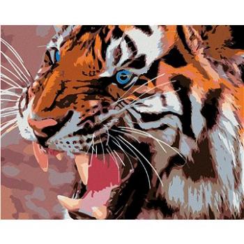 Maľovanie podľa čísel – Modré tigrie oči (HRAmal01202nad)