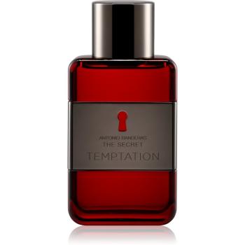 Antonio Banderas The Secret Temptation toaletná voda pre mužov 50 ml