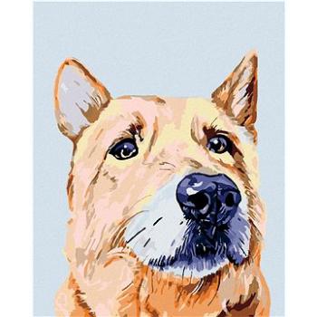 Maľovanie podľa čísel – Smutný pes (HRAmal01050nad)